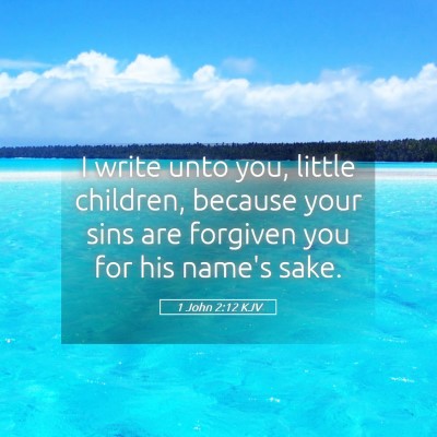 Picture 05 - 1 John 2:12 KJV - I write unto you, little children, because your - Bible Verse Picture