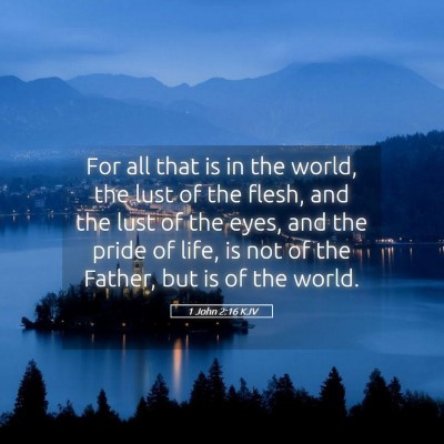 Picture 05 - 1 John 2:16 KJV - For all that is in the world, the lust of the - Bible Verse Picture