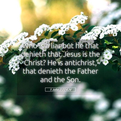 Picture 05 - 1 John 2:22 KJV - Who is a liar but he that denieth that Jesus is - Bible Verse Picture
