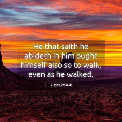 Picture 05 - 1 John 2:6 KJV - He that saith he abideth in him ought himself - Bible Verse Picture