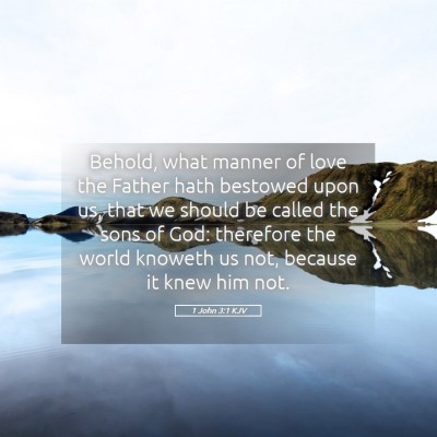 Picture 05 - 1 John 3:1 KJV - Behold, what manner of love the Father hath - Bible Verse Picture