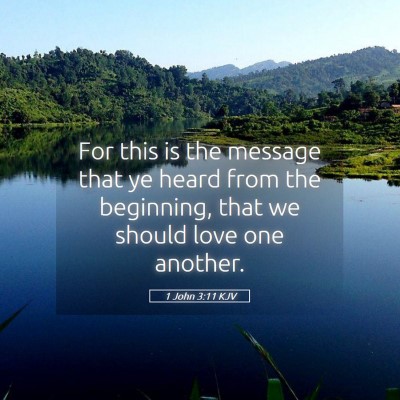 Picture 05 - 1 John 3:11 KJV - For this is the message that ye heard from the - Bible Verse Picture