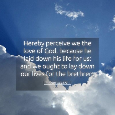 Picture 05 - 1 John 3:16 KJV - Hereby perceive we the love of God, because he - Bible Verse Picture