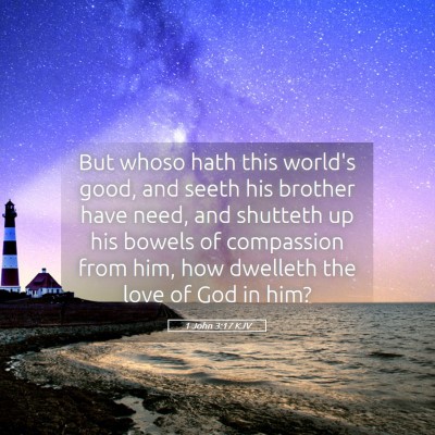 Picture 05 - 1 John 3:17 KJV - But whoso hath this world's good, and seeth his - Bible Verse Picture
