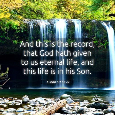 Picture 05 - 1 John 5:11 KJV - And this is the record, that God hath given to us - Bible Verse Picture