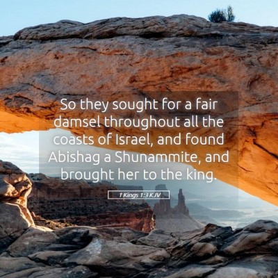 Picture 05 - 1 Kings 1:3 KJV - So they sought for a fair damsel throughout all - Bible Verse Picture