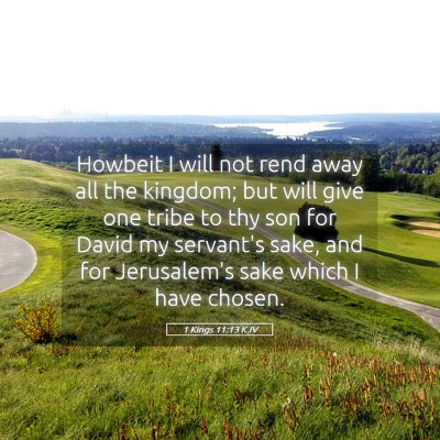 Picture 05 - 1 Kings 11:13 KJV - Howbeit I will not rend away all the kingdom; but - Bible Verse Picture