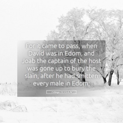 Picture 05 - 1 Kings 11:15 KJV - For it came to pass, when David was in Edom, and - Bible Verse Picture