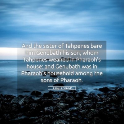 Picture 05 - 1 Kings 11:20 KJV - And the sister of Tahpenes bare him Genubath his - Bible Verse Picture