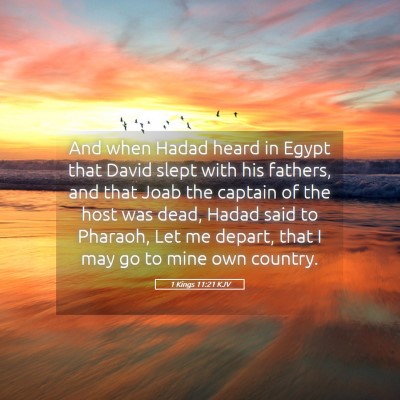 Picture 05 - 1 Kings 11:21 KJV - And when Hadad heard in Egypt that David slept - Bible Verse Picture