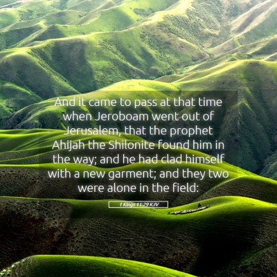 Picture 05 - 1 Kings 11:29 KJV - And it came to pass at that time when Jeroboam - Bible Verse Picture