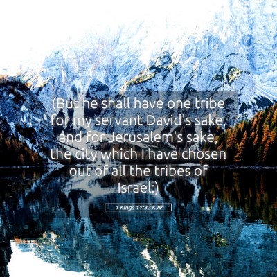 Picture 05 - 1 Kings 11:32 KJV - (But he shall have one tribe for my servant - Bible Verse Picture