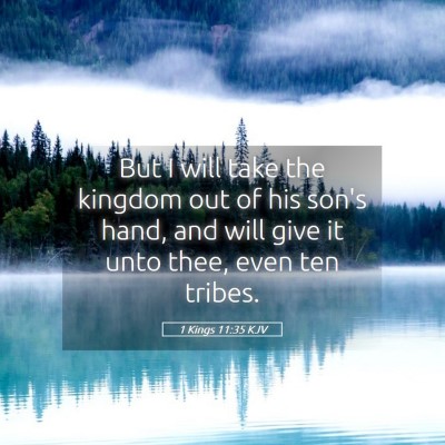 Picture 05 - 1 Kings 11:35 KJV - But I will take the kingdom out of his son's - Bible Verse Picture