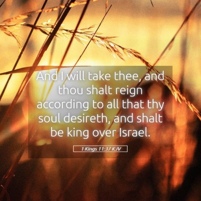 Picture 05 - 1 Kings 11:37 KJV - And I will take thee, and thou shalt reign - Bible Verse Picture