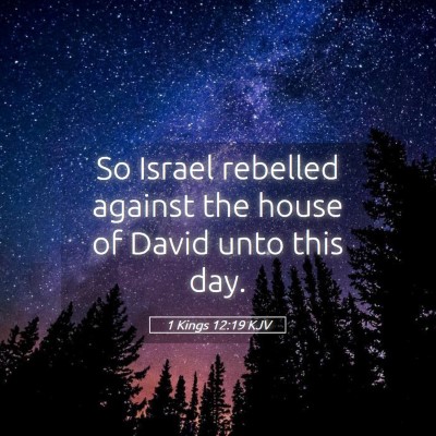 Picture 05 - 1 Kings 12:19 KJV - So Israel rebelled against the house of David - Bible Verse Picture