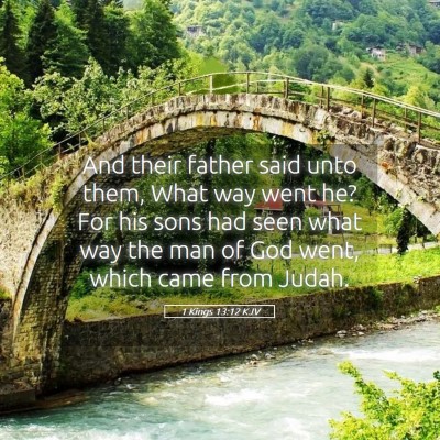 Picture 05 - 1 Kings 13:12 KJV - And their father said unto them, What way went - Bible Verse Picture