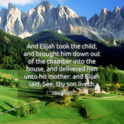 Picture 05 - 1 Kings 17:23 KJV - And Elijah took the child, and brought him down - Bible Verse Picture