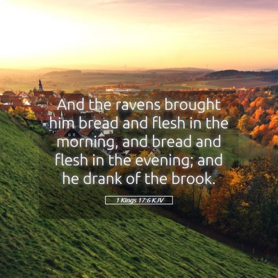 Picture 05 - 1 Kings 17:6 KJV - And the ravens brought him bread and flesh in the - Bible Verse Picture