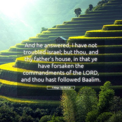 Picture 05 - 1 Kings 18:18 KJV - And he answered, I have not troubled Israel; but - Bible Verse Picture