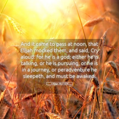 Picture 05 - 1 Kings 18:27 KJV - And it came to pass at noon, that Elijah mocked - Bible Verse Picture
