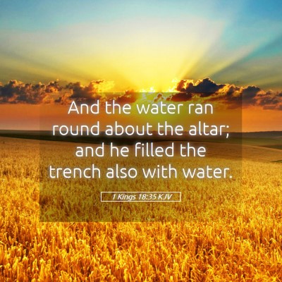 Picture 05 - 1 Kings 18:35 KJV - And the water ran round about the altar; and he - Bible Verse Picture