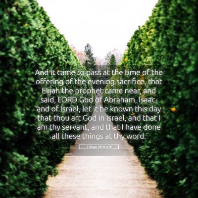 Picture 05 - 1 Kings 18:36 KJV - And it came to pass at the time of the offering - Bible Verse Picture