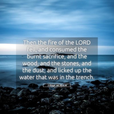 Picture 05 - 1 Kings 18:38 KJV - Then the fire of the LORD fell, and consumed the - Bible Verse Picture