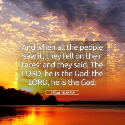 Picture 05 - 1 Kings 18:39 KJV - And when all the people saw it, they fell on - Bible Verse Picture