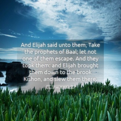 Picture 05 - 1 Kings 18:40 KJV - And Elijah said unto them, Take the prophets of - Bible Verse Picture