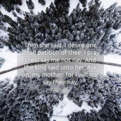 Picture 05 - 1 Kings 2:20 KJV - Then she said, I desire one small petition of - Bible Verse Picture