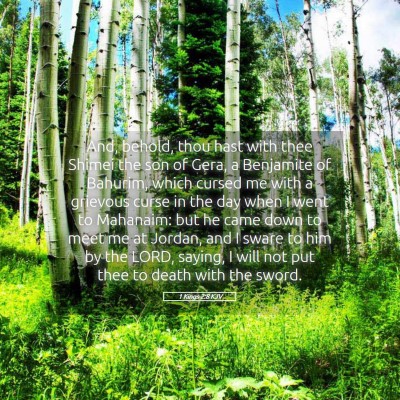 Picture 05 - 1 Kings 2:8 KJV - And, behold, thou hast with thee Shimei the son - Bible Verse Picture