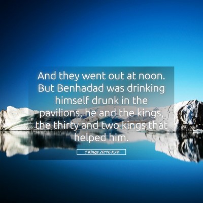 Picture 05 - 1 Kings 20:16 KJV - And they went out at noon. But Benhadad was - Bible Verse Picture