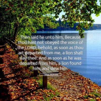 Picture 05 - 1 Kings 20:36 KJV - Then said he unto him, Because thou hast not - Bible Verse Picture