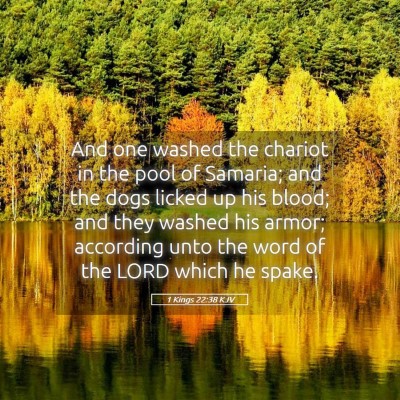 Picture 05 - 1 Kings 22:38 KJV - And one washed the chariot in the pool of - Bible Verse Picture