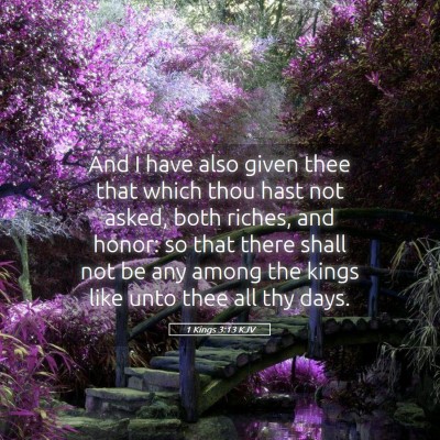 Picture 05 - 1 Kings 3:13 KJV - And I have also given thee that which thou hast - Bible Verse Picture