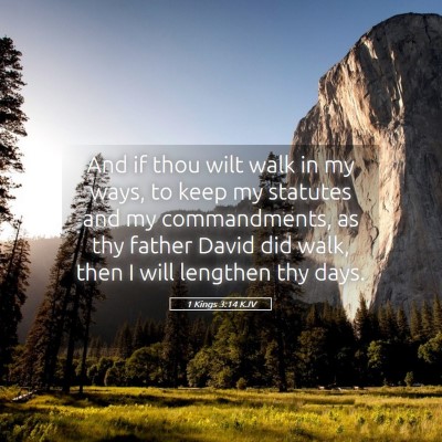 Picture 05 - 1 Kings 3:14 KJV - And if thou wilt walk in my ways, to keep my - Bible Verse Picture