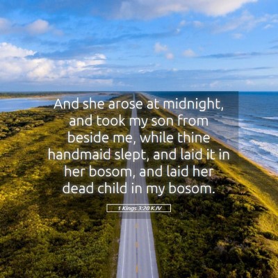 Picture 05 - 1 Kings 3:20 KJV - And she arose at midnight, and took my son from - Bible Verse Picture