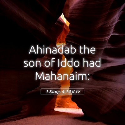 Picture 05 - 1 Kings 4:14 KJV - Ahinadab the son of Iddo had - Bible Verse Picture