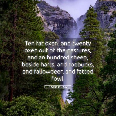 Picture 05 - 1 Kings 4:23 KJV - Ten fat oxen, and twenty oxen out of the - Bible Verse Picture
