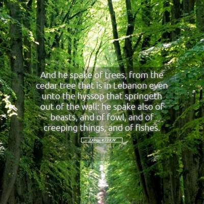 Picture 05 - 1 Kings 4:33 KJV - And he spake of trees, from the cedar tree that - Bible Verse Picture