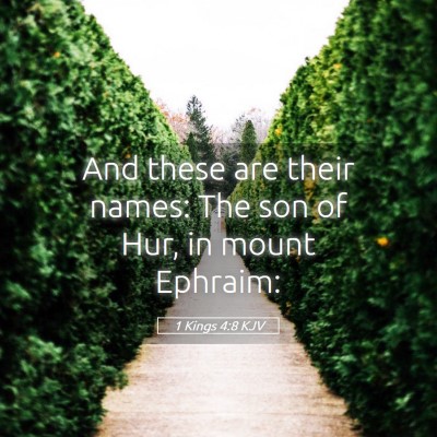 Picture 05 - 1 Kings 4:8 KJV - And these are their names: The son of Hur, in - Bible Verse Picture