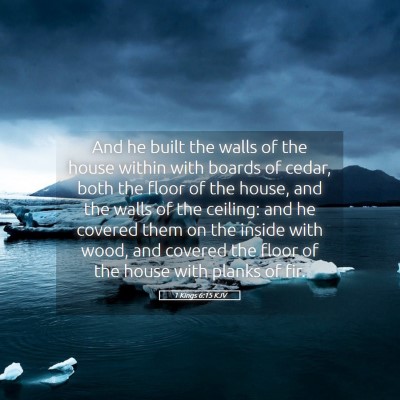 Picture 05 - 1 Kings 6:15 KJV - And he built the walls of the house within with - Bible Verse Picture