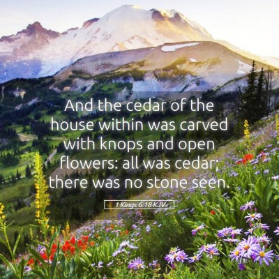 Picture 05 - 1 Kings 6:18 KJV - And the cedar of the house within was carved with - Bible Verse Picture