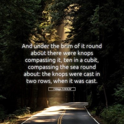 Picture 05 - 1 Kings 7:24 KJV - And under the brim of it round about there were - Bible Verse Picture