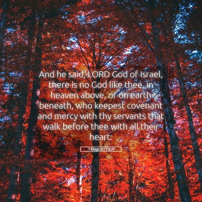 Picture 05 - 1 Kings 8:23 KJV - And he said, LORD God of Israel, there is no God - Bible Verse Picture