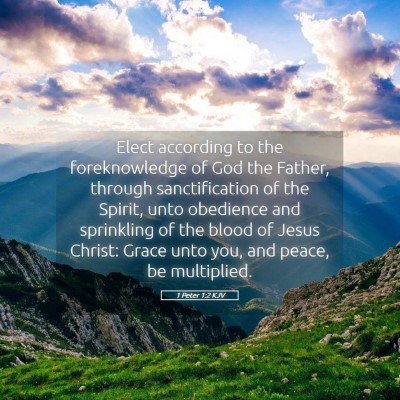 Picture 05 - 1 Peter 1:2 KJV - Elect according to the foreknowledge of God the - Bible Verse Picture