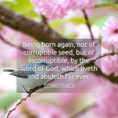 Picture 05 - 1 Peter 1:23 KJV - Being born again, not of corruptible seed, but of - Bible Verse Picture
