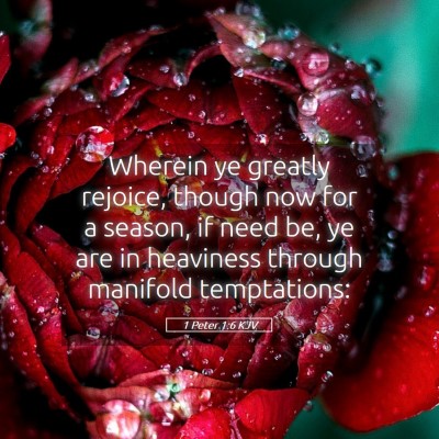 Picture 05 - 1 Peter 1:6 KJV - Wherein ye greatly rejoice, though now for a - Bible Verse Picture