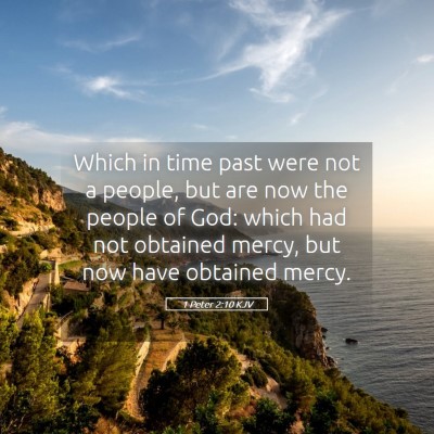 Picture 05 - 1 Peter 2:10 KJV - Which in time past were not a people, but are now - Bible Verse Picture