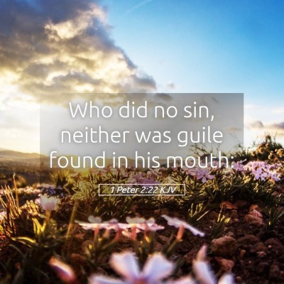 Picture 05 - 1 Peter 2:22 KJV - Who did no sin, neither was guile found in his - Bible Verse Picture